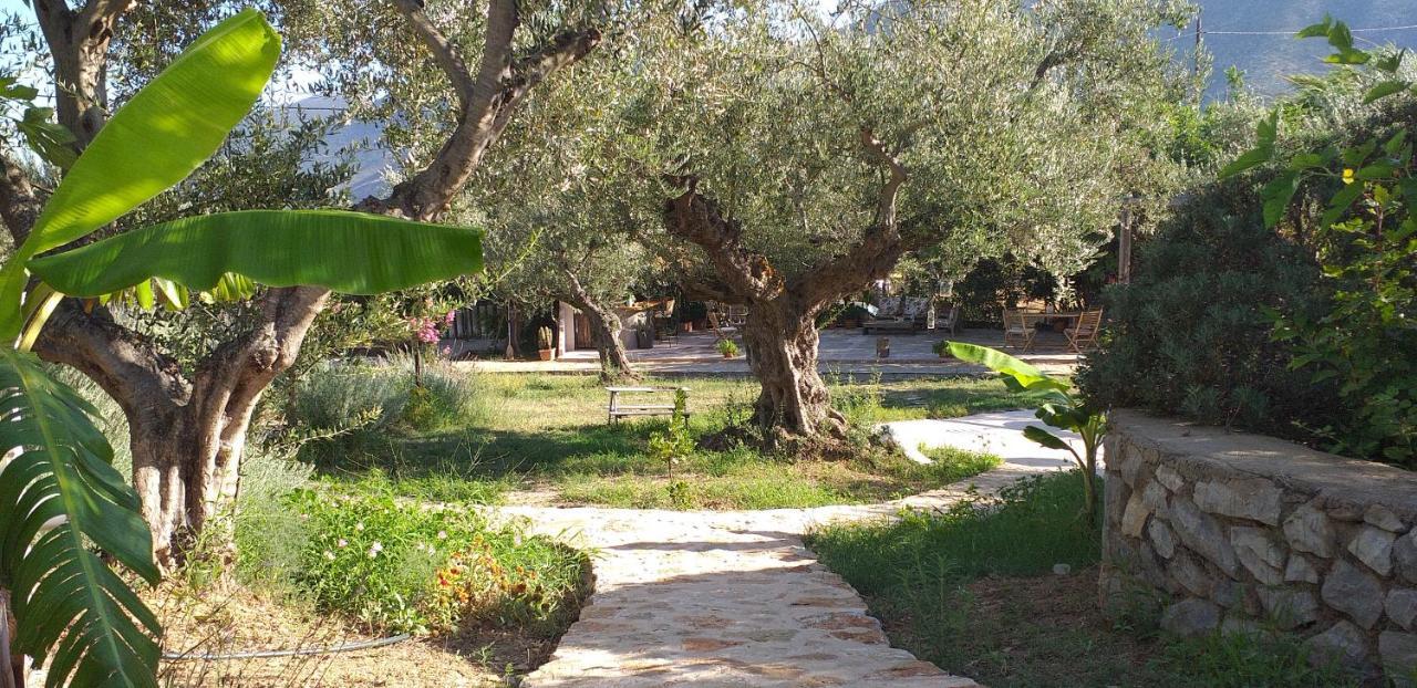 Kavoulakos Studios スコウタリオン エクステリア 写真